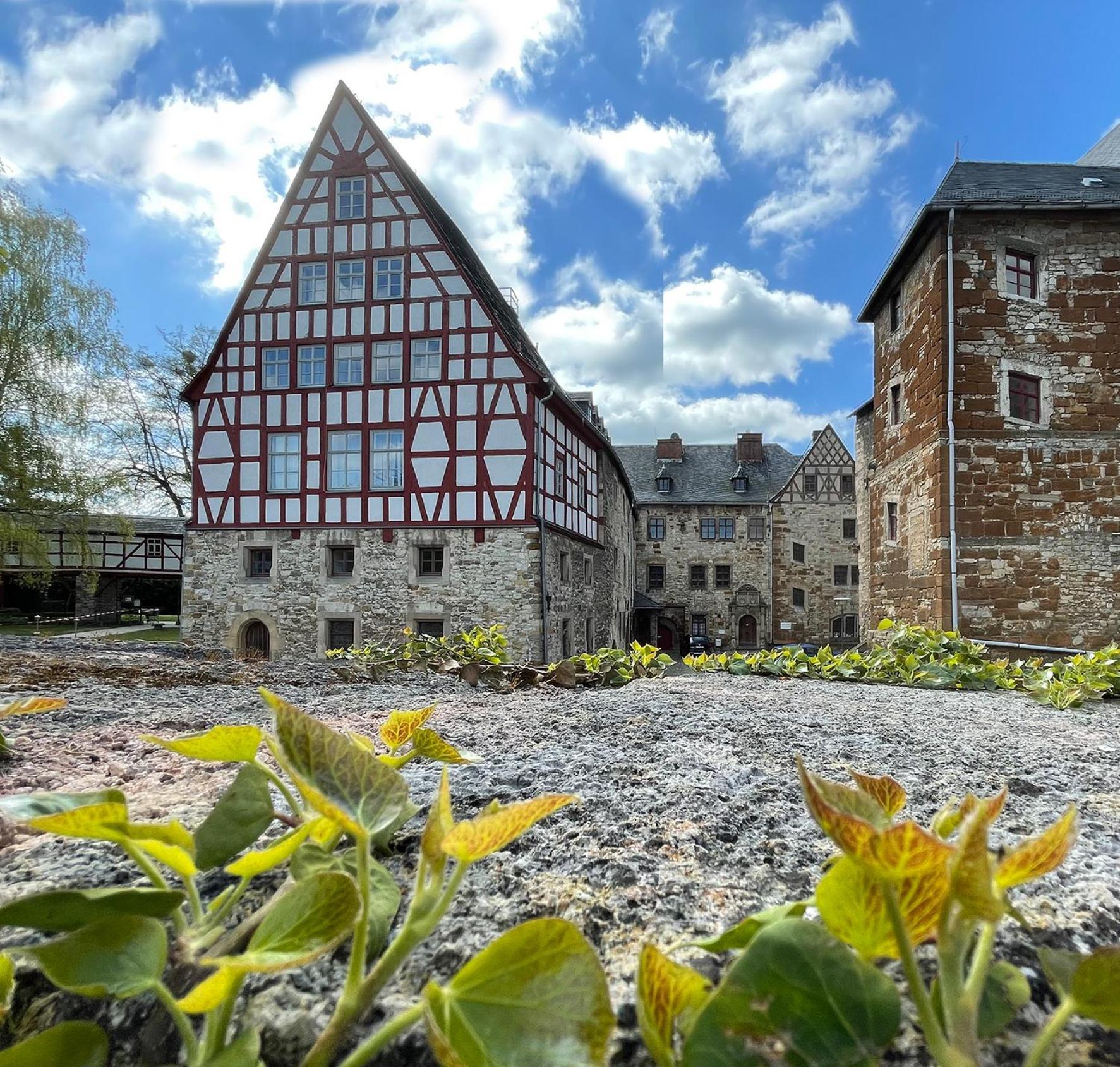 Schloss Beichlingen Exterior photo