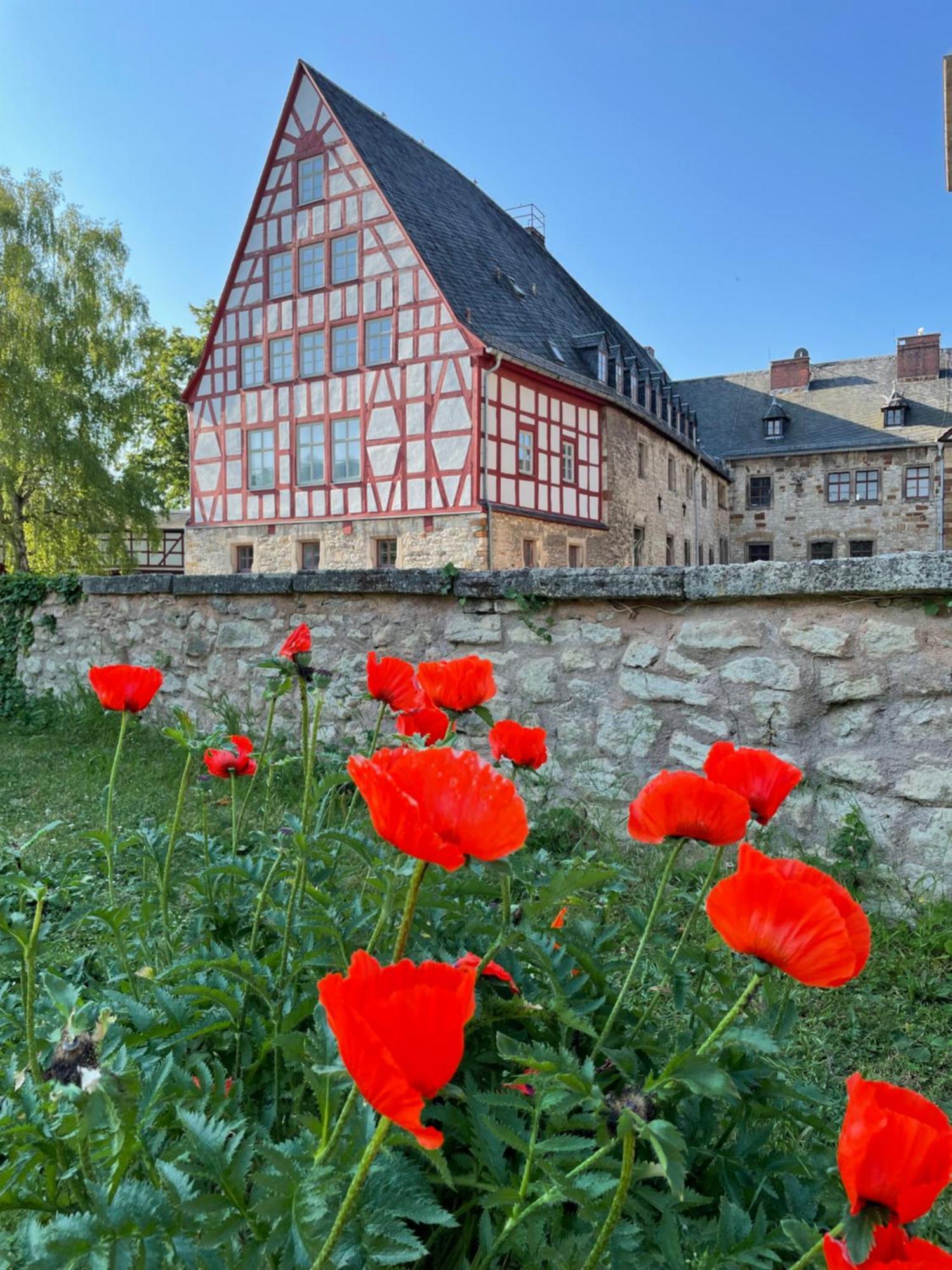 Schloss Beichlingen Exterior photo