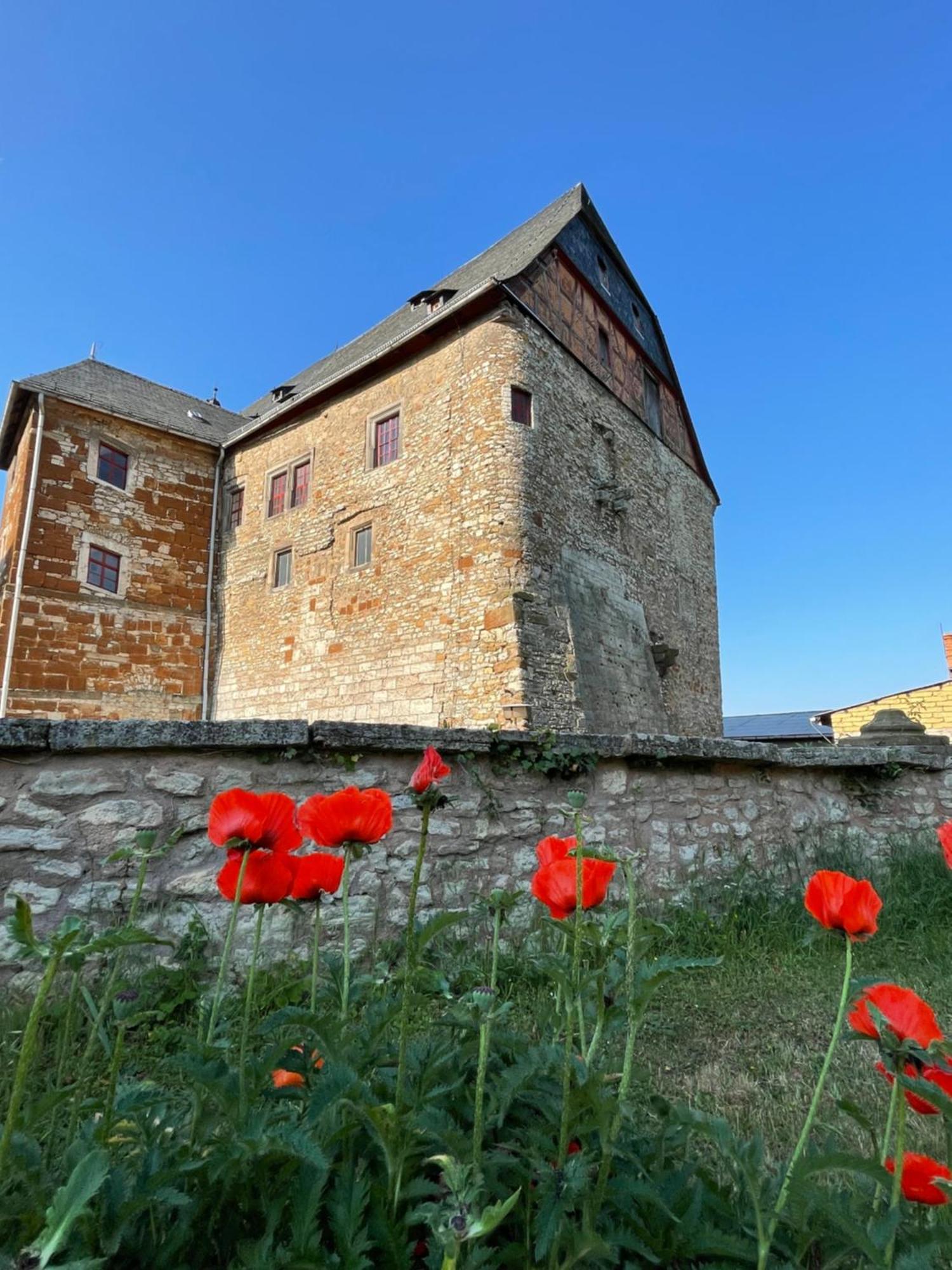 Schloss Beichlingen Exterior photo